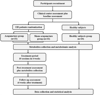 Effect of Acupuncture on Blood Pressure and Metabolic Profile Among Patients With Essential Hypertension: Protocol of a Randomized Clinical Trial